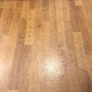 Meet your Posher, Dana